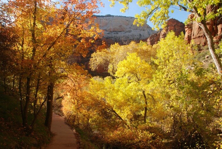 Fall in Zion National Park Utah